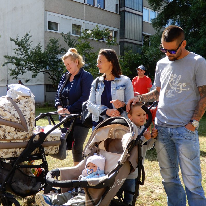 Életfa ültetés a város napján 07